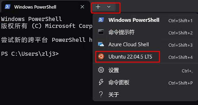 image-20251110151535287